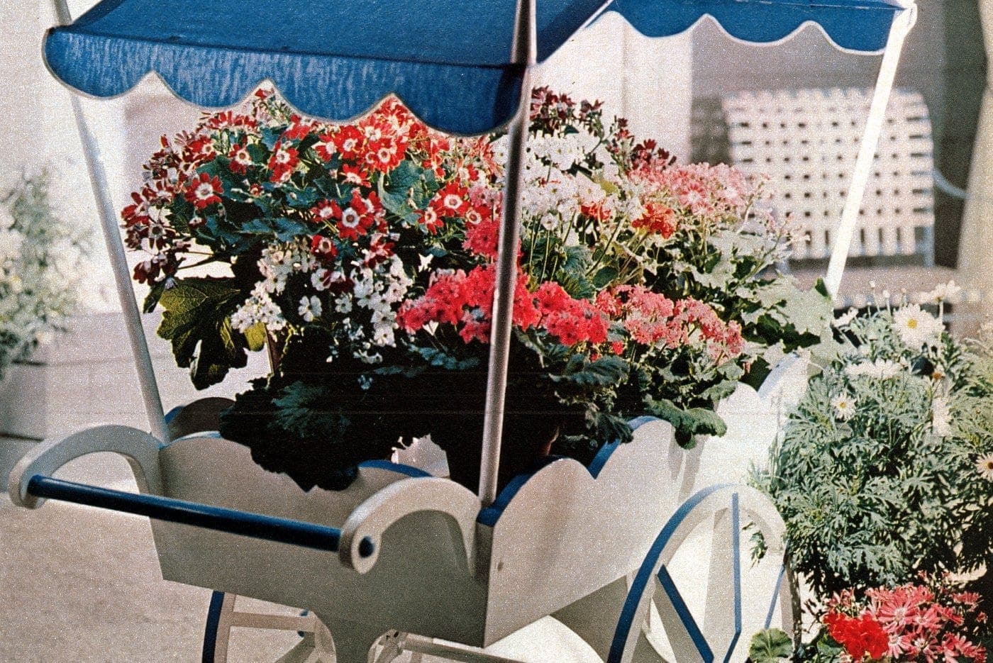 Vintage backyard flower cart from 1958 (1)