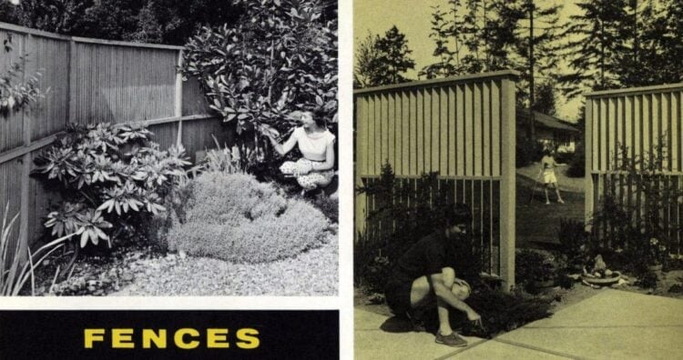 Vintage backyard ideas for fences from 1960