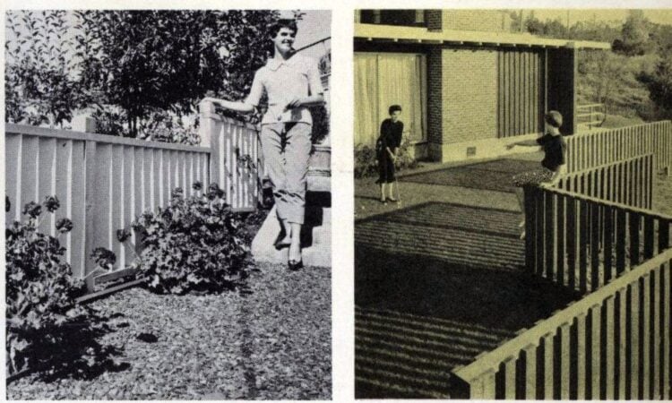 Vintage backyard wooden fencing designs from 1960