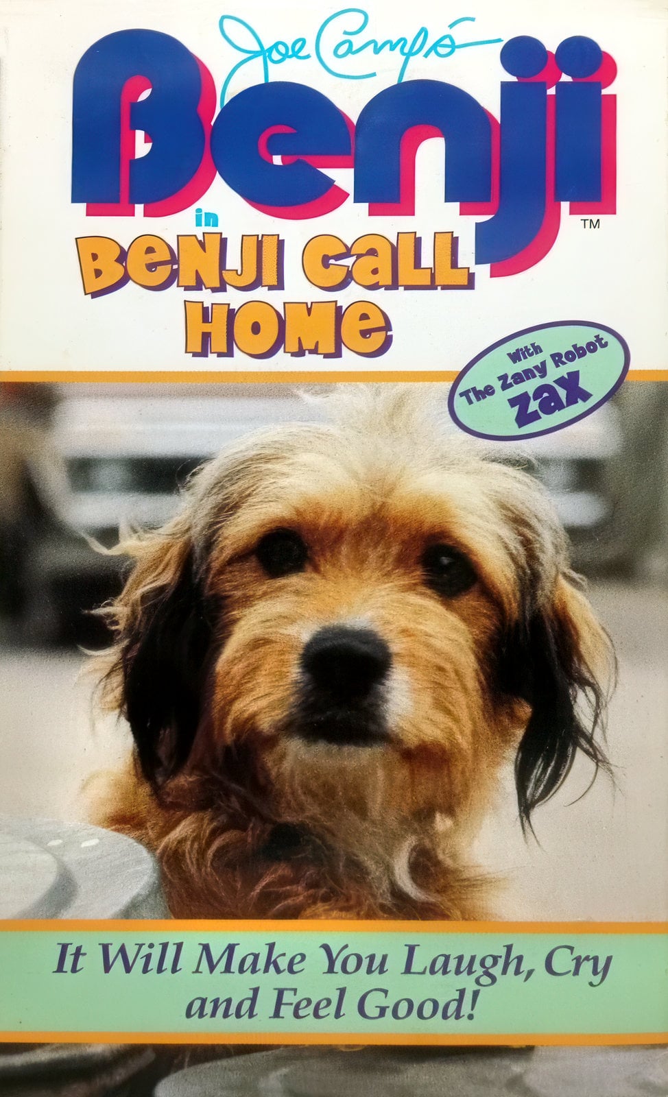 Benji movie magic: How a stray dog stole America's heart in the 1970s 12 Vintage photo Benji the dog (3) via ClickAmericana com