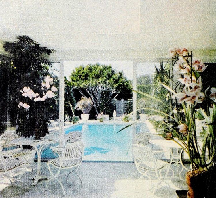 Vintage swimming pool from 1969 (2)