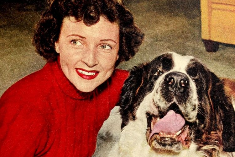 What Is The Best Dog For You Animal Loving Actress Betty White