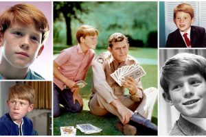 Young Ron Howard - Ronnie Howard 1960s