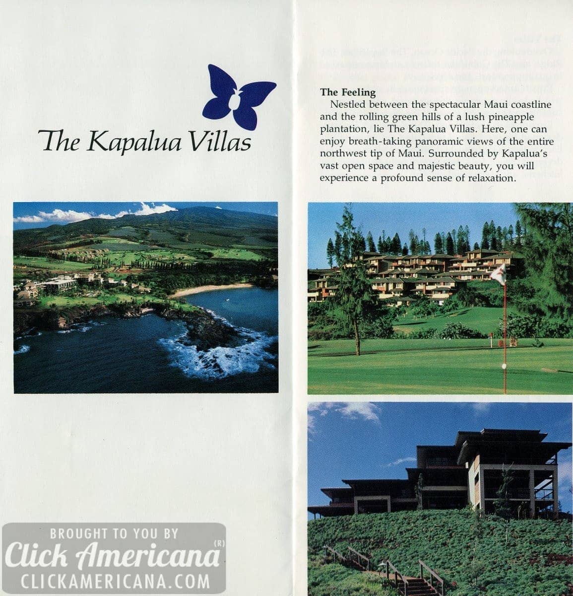 Along the Maui coastline, the new Kapalua Villas (1978)