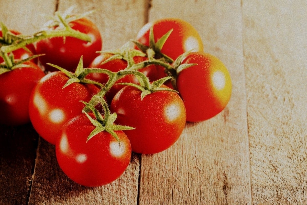 12 oldfashioned tomato recipes (1912) Click Americana